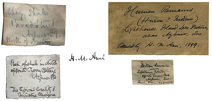 Examples of H-M Ami's handwriting; photo : Jean-Luc Pilon Examples of H-M Ami's handwriting; photo : Jean-Luc Pilon